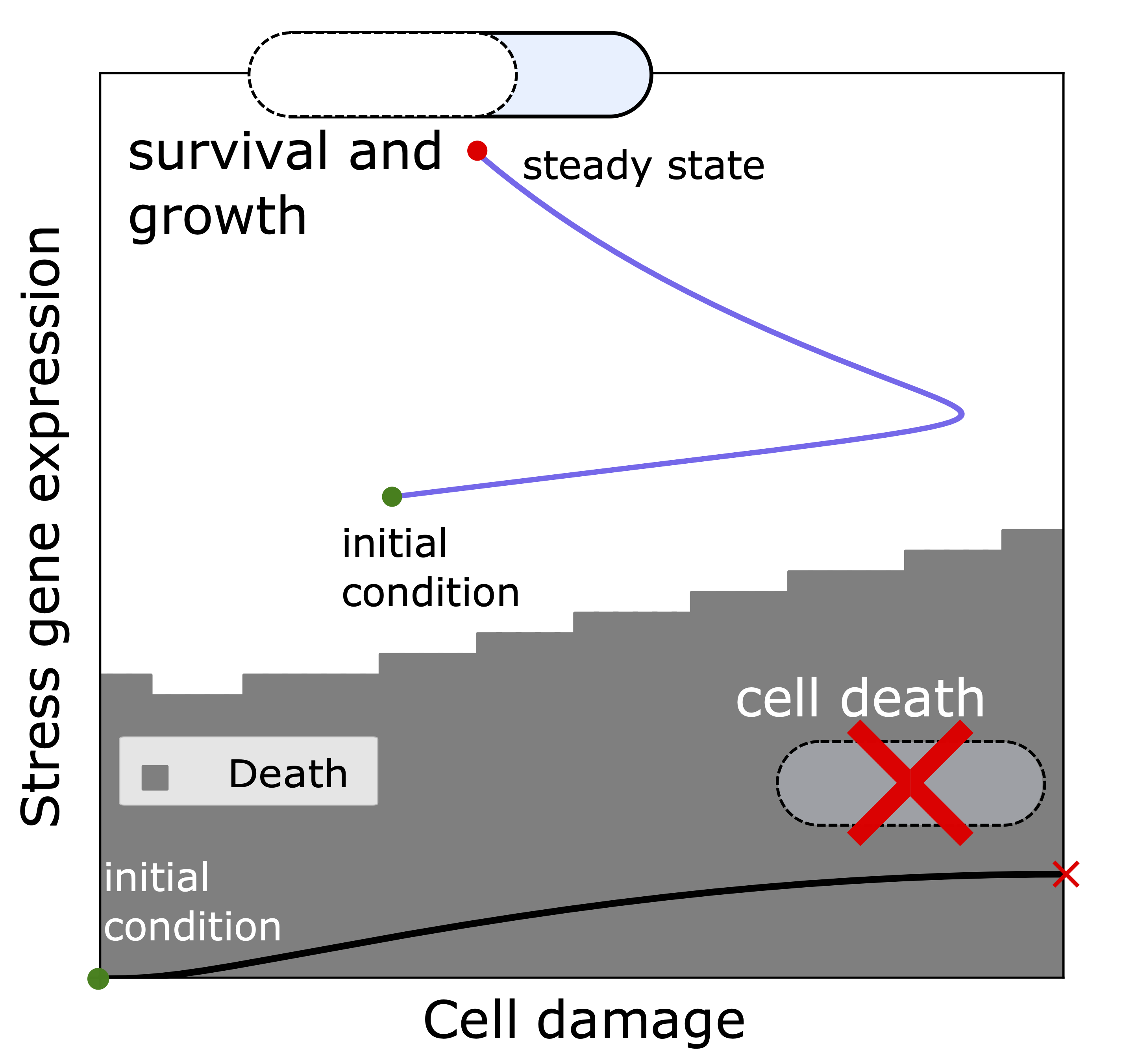 Bacterial life and death phase portrait