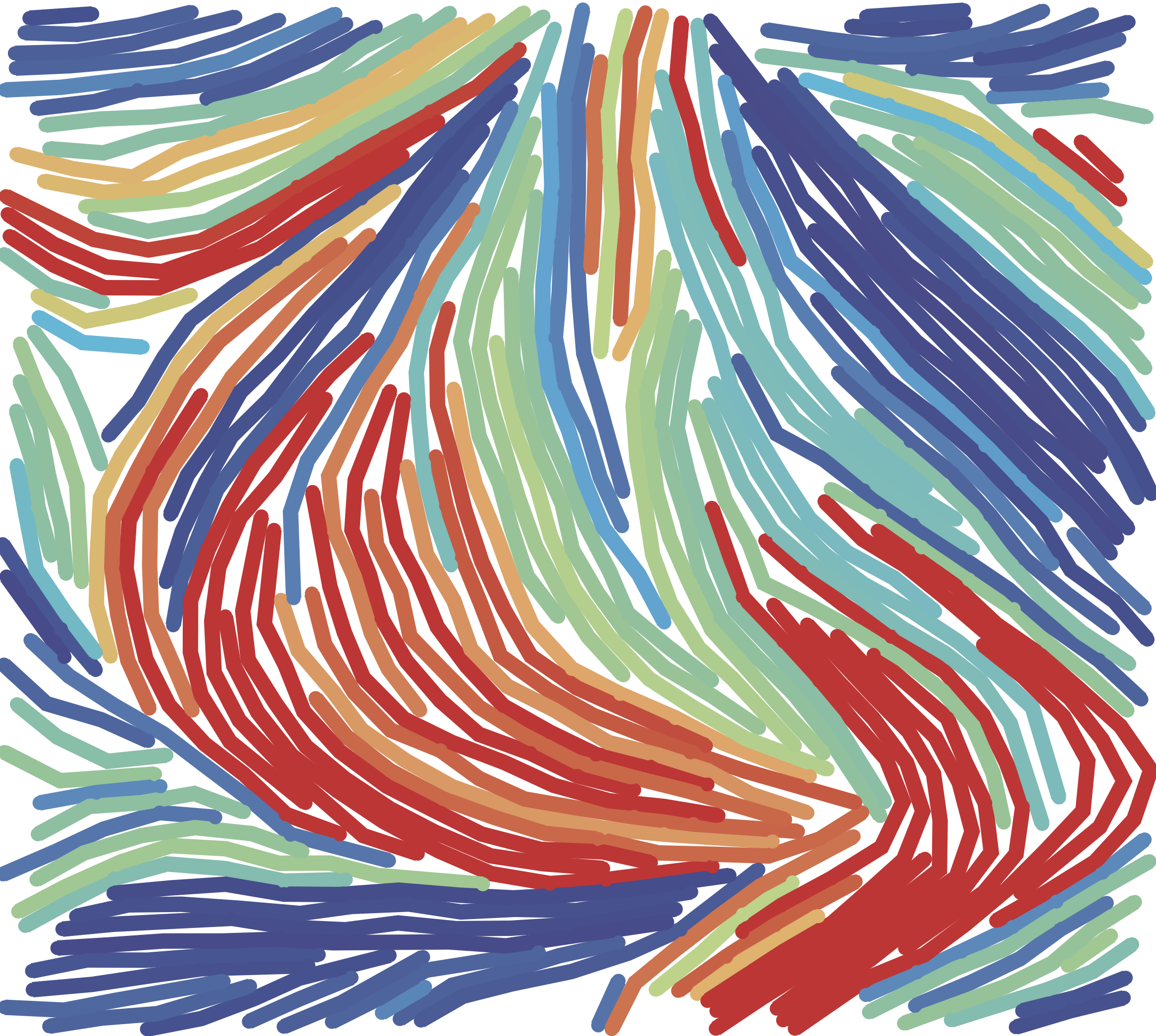 Actin network nematic order