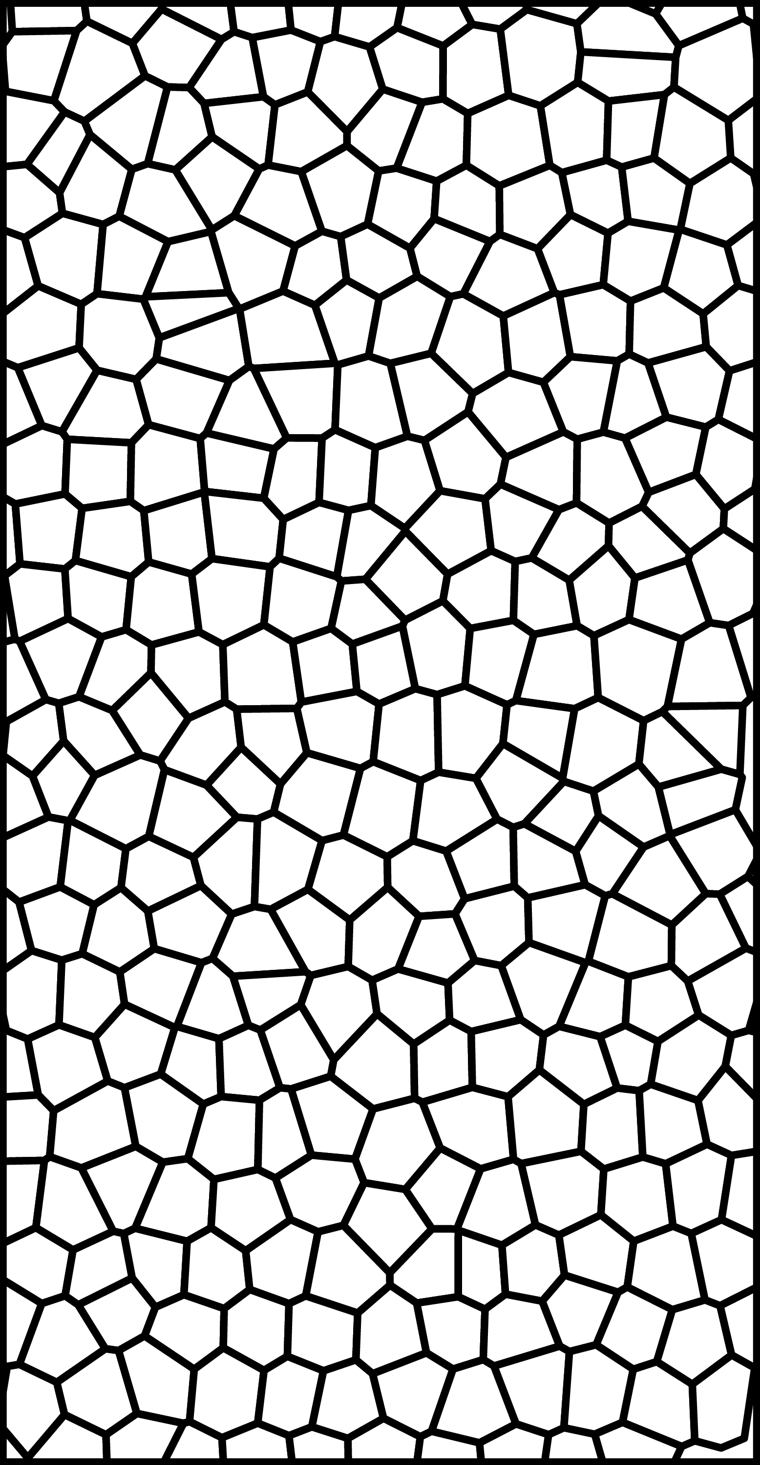 Vertex model tissue